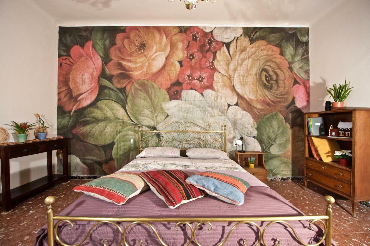 Liberi Mercanti - Guest House Affittacamere 卢卡 外观 照片